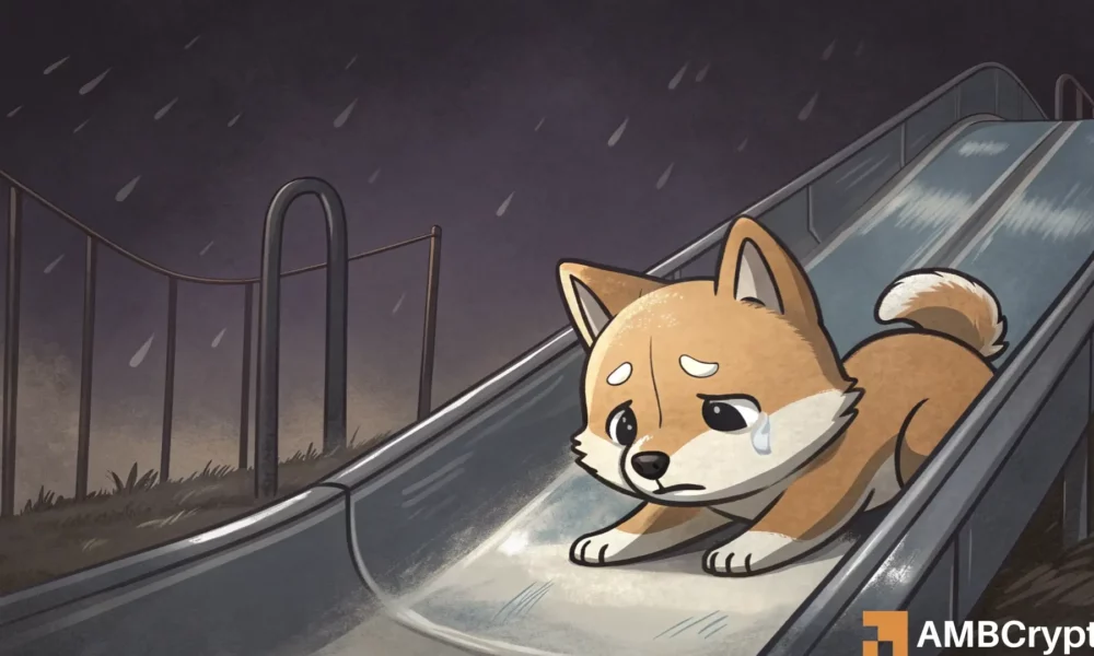 杨丽萍展间,即兴舞动,与半裸男共,ebpay承兑,ebpay钱包,ebpay官网