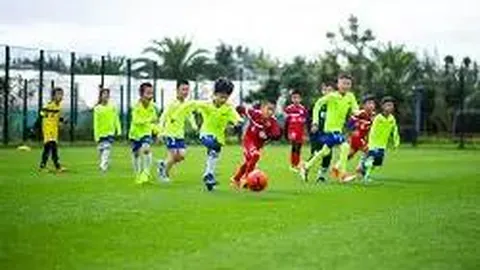 中石化获多官能团复合材料专利，助力水体重金属离子高效吸附