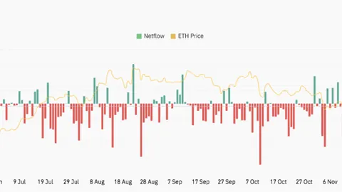杨幂分享与赵薇携手新剧体验：挑战重重